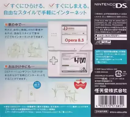 Image n° 2 - boxback : Nintendo DS Browser